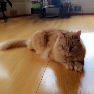 Meet your Posher, Isabelle